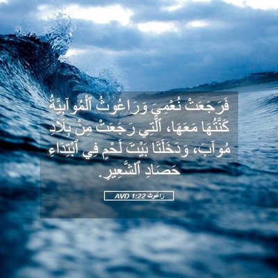 Picture 05 - رَاعُوث 1:22 AVD - فَرَجَعَتْ نُعْمِيَ - Bible Verse Picture