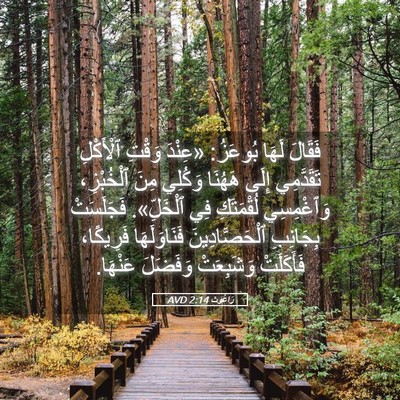 Picture 05 - رَاعُوث 2:14 AVD - فَقَالَ لَهَا بُوعَزُ: - Bible Verse Picture