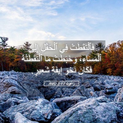 Picture 05 - رَاعُوث 2:17 AVD - فَٱلْتَقَطَتْ فِي - Bible Verse Picture