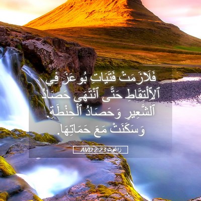Picture 05 - رَاعُوث 2:23 AVD - فَلَازَمَتْ فَتَيَاتِ - Bible Verse Picture