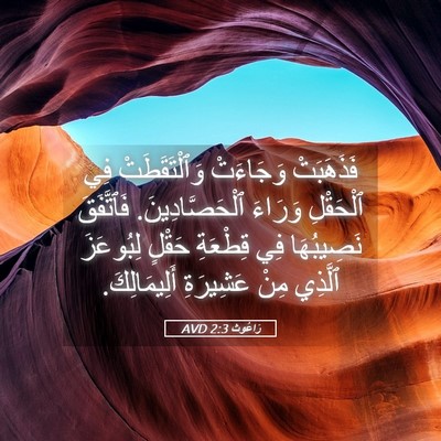Picture 05 - رَاعُوث 2:3 AVD - فَذَهَبَتْ وَجَاءَتْ - Bible Verse Picture