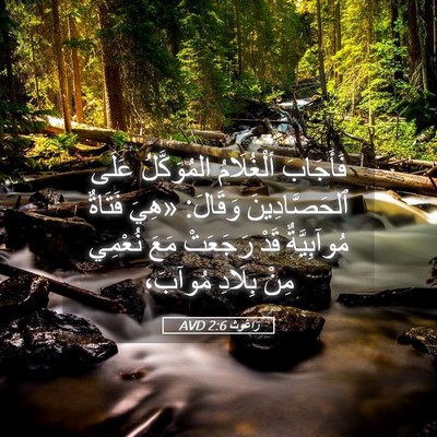 Picture 05 - رَاعُوث 2:6 AVD - فَأَجَابَ ألْغُلَامُ - Bible Verse Picture