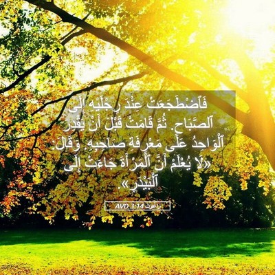 Picture 05 - رَاعُوث 3:14 AVD - فَٱضْطَجَعَتْ عِنْدَ - Bible Verse Picture