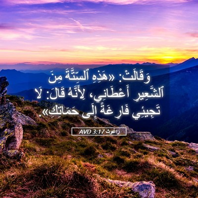 Picture 05 - رَاعُوث 3:17 AVD - وَقَالَتْ: «هَذِهِ - Bible Verse Picture