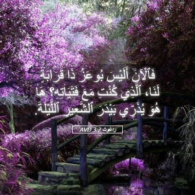 Picture 05 - رَاعُوث 3:2 AVD - فَٱلْآنَ أَلَيْسَ بُوعَزُ - Bible Verse Picture
