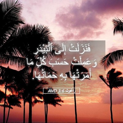 Picture 05 - رَاعُوث 3:6 AVD - فَنَزَلَتْ إِلَى - Bible Verse Picture