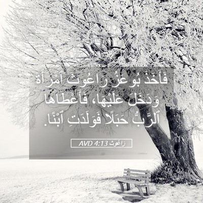 Picture 05 - رَاعُوث 4:13 AVD - فَأَخَذَ بُوعَزُ رَاعُوثَ - Bible Verse Picture
