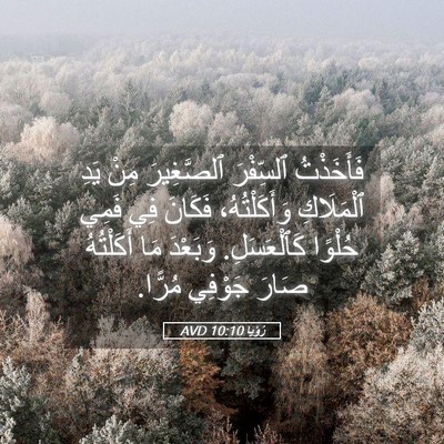 Picture 05 - رُؤيا 10:10 AVD - فَأَخَذْتُ ٱلسِّفْرَ - Bible Verse Picture