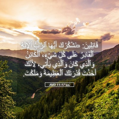Picture 05 - رُؤيا 11:17 AVD - قَائِلِينَ: «نَشْكُرُكَ - Bible Verse Picture