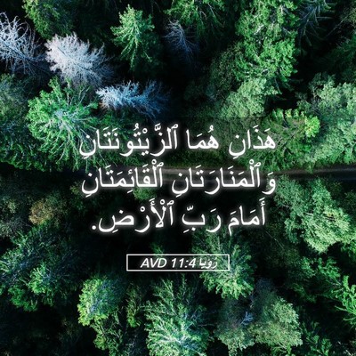 Picture 05 - رُؤيا 11:4 AVD - هَذَانِ هُمَا - Bible Verse Picture