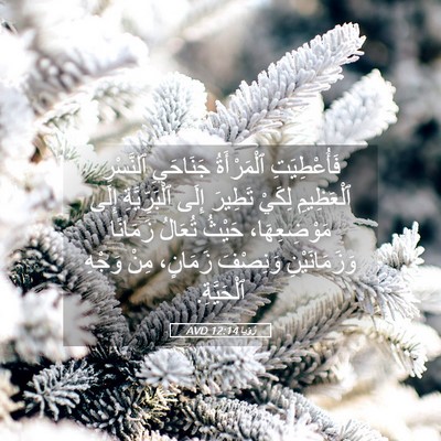 Picture 05 - رُؤيا 12:14 AVD - فَأُعْطِيَتِ ٱلْمَرْأَةُ - Bible Verse Picture
