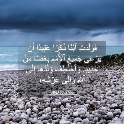 Picture 05 - رُؤيا 12:5 AVD - فَوَلَدَتِ ٱبْنًا ذَكَرًا - Bible Verse Picture