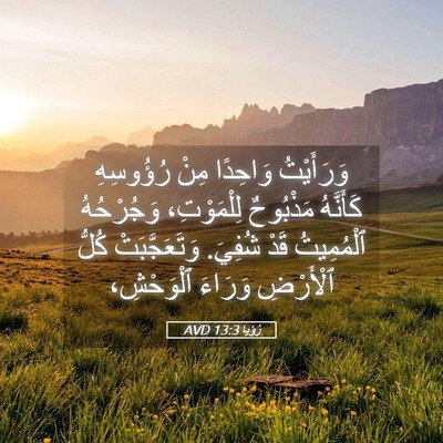 Picture 05 - رُؤيا 13:3 AVD - وَرَأَيْتُ وَاحِدًا مِنْ - Bible Verse Picture