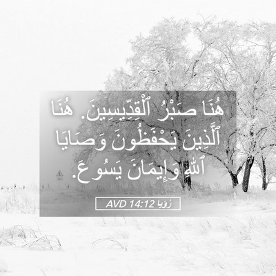 Picture 05 - رُؤيا 14:12 AVD - هُنَا صَبْرُ - Bible Verse Picture