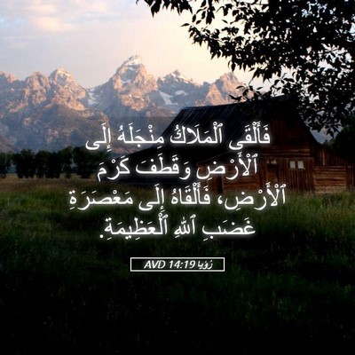 Picture 05 - رُؤيا 14:19 AVD - فَأَلْقَى ٱلْمَلَاكُ - Bible Verse Picture
