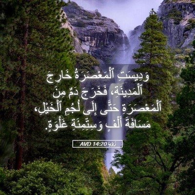 Picture 05 - رُؤيا 14:20 AVD - وَدِيسَتِ ٱلْمَعْصَرَةُ - Bible Verse Picture