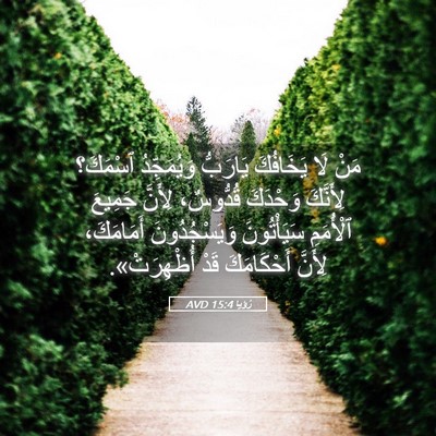 Picture 05 - رُؤيا 15:4 AVD - مَنْ لَا يَخَافُكَ - Bible Verse Picture