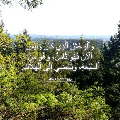Picture 05 - رُؤيا 17:11 AVD - وَٱلْوَحْشُ ٱلَّذِي كَانَ - Bible Verse Picture