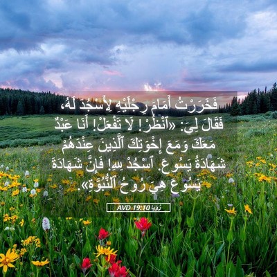 Picture 05 - رُؤيا 19:10 AVD - فَخَرَرْتُ أَمَامَ - Bible Verse Picture