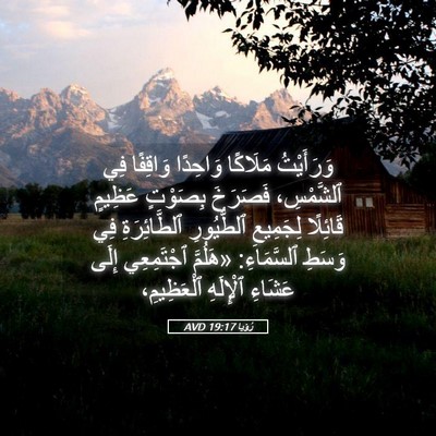 Picture 05 - رُؤيا 19:17 AVD - وَرَأَيْتُ مَلَاكًا - Bible Verse Picture