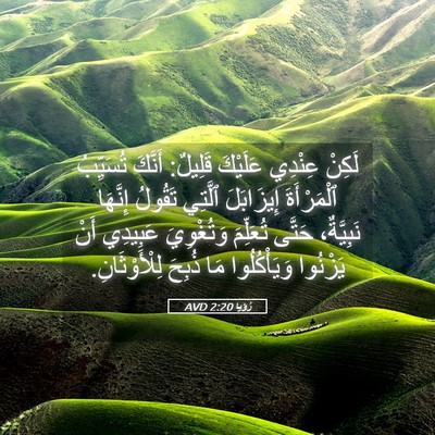 Picture 05 - رُؤيا 2:20 AVD - لَكِنْ عِنْدِي عَلَيْكَ - Bible Verse Picture