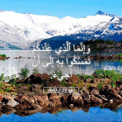 Picture 05 - رُؤيا 2:25 AVD - وَإِنَّمَا ٱلَّذِي - Bible Verse Picture