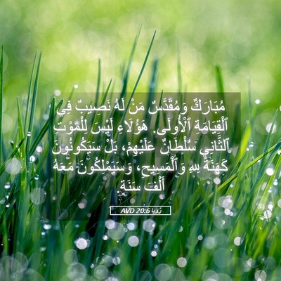 Picture 05 - رُؤيا 20:6 AVD - مُبَارَكٌ وَمُقَدَّسٌ - Bible Verse Picture