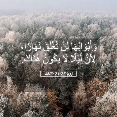 Picture 05 - رُؤيا 21:25 AVD - وَأَبْوَابُهَا لَنْ - Bible Verse Picture