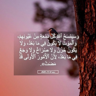 Picture 05 - رُؤيا 21:4 AVD - وَسَيَمْسَحُ ٱللهُ كُلَّ - Bible Verse Picture
