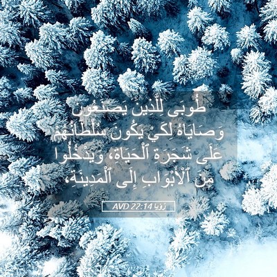 Picture 05 - رُؤيا 22:14 AVD - طُوبَى لِلَّذِينَ - Bible Verse Picture