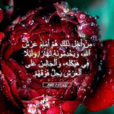 Picture 05 - رُؤيا 7:15 AVD - مِنْ أَجْلِ ذَلِكَ هُمْ - Bible Verse Picture