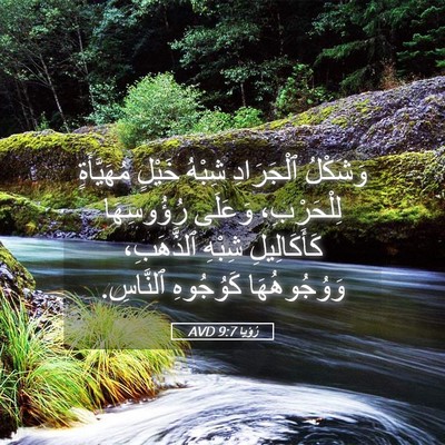 Picture 05 - رُؤيا 9:7 AVD - وَشَكْلُ ٱلْجَرَادِ - Bible Verse Picture