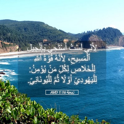 Picture 05 - رُومِيَةَ 1:16 AVD - لِأَنِّي لَسْتُ أَسْتَحِي - Bible Verse Picture