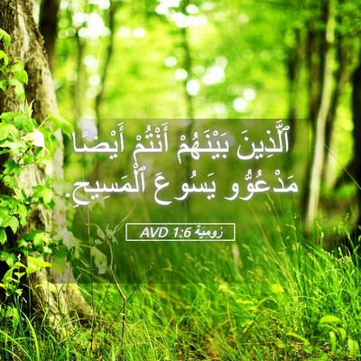 Picture 05 - رُومِيَةَ 1:6 AVD - ٱلَّذِينَ بَيْنَهُمْ - Bible Verse Picture