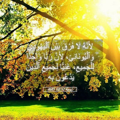 Picture 05 - رُومِيَةَ 10:12 AVD - لِأَنَّهُ لَا فَرْقَ - Bible Verse Picture