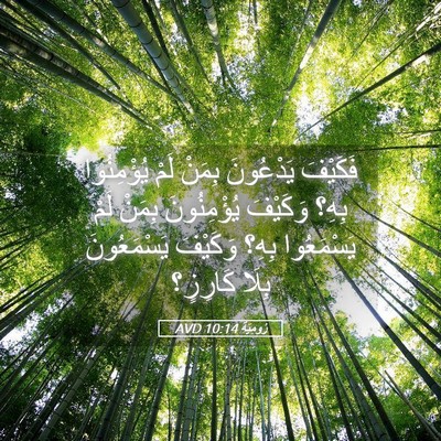 Picture 05 - رُومِيَةَ 10:14 AVD - فَكَيْفَ يَدْعُونَ بِمَنْ - Bible Verse Picture