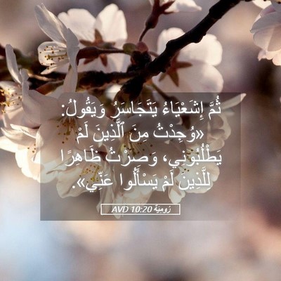 Picture 05 - رُومِيَةَ 10:20 AVD - ثُمَّ إِشَعْيَاءُ - Bible Verse Picture