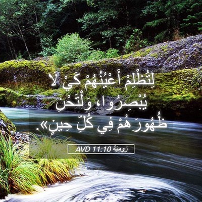 Picture 05 - رُومِيَةَ 11:10 AVD - لِتُظْلِمْ أَعْيُنُهُمْ - Bible Verse Picture