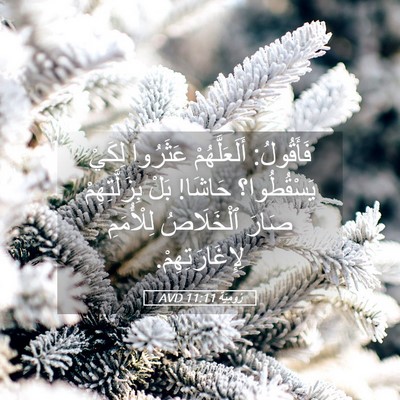 Picture 05 - رُومِيَةَ 11:11 AVD - فَأَقُولُ: أَلَعَلَّهُمْ - Bible Verse Picture