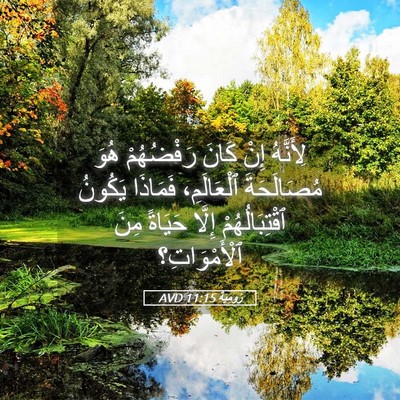 Picture 05 - رُومِيَةَ 11:15 AVD - لِأَنَّهُ إِنْ كَانَ - Bible Verse Picture
