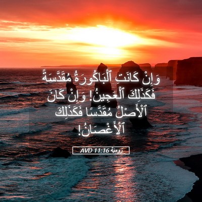 Picture 05 - رُومِيَةَ 11:16 AVD - وَإِنْ كَانَتِ - Bible Verse Picture
