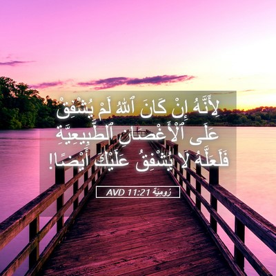 Picture 05 - رُومِيَةَ 11:21 AVD - لِأَنَّهُ إِنْ كَانَ ٱللهُ - Bible Verse Picture