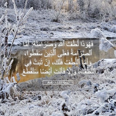 Picture 05 - رُومِيَةَ 11:22 AVD - فَهُوَذَا لُطْفُ ٱللهِ - Bible Verse Picture
