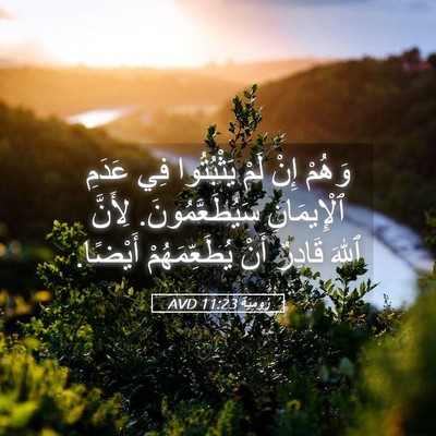Picture 05 - رُومِيَةَ 11:23 AVD - وَهُمْ إِنْ لَمْ - Bible Verse Picture