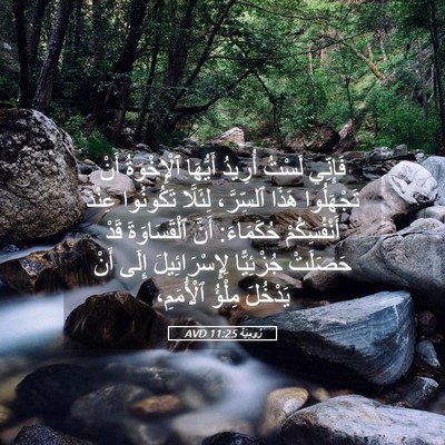 Picture 05 - رُومِيَةَ 11:25 AVD - فَإِنِّي لَسْتُ أُرِيدُ - Bible Verse Picture