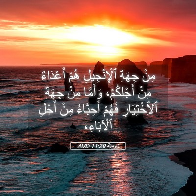 Picture 05 - رُومِيَةَ 11:28 AVD - مِنْ جِهَةِ ٱلْإِنْجِيلِ - Bible Verse Picture