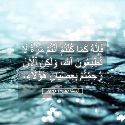 Picture 05 - رُومِيَةَ 11:30 AVD - فَإِنَّهُ كَمَا كُنْتُمْ - Bible Verse Picture