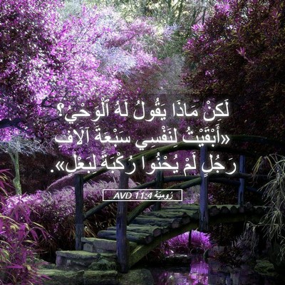 Picture 05 - رُومِيَةَ 11:4 AVD - لَكِنْ مَاذَا يَقُولُ لَهُ - Bible Verse Picture