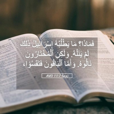 Picture 05 - رُومِيَةَ 11:7 AVD - فَمَاذَا؟ مَا يَطْلُبُهُ - Bible Verse Picture