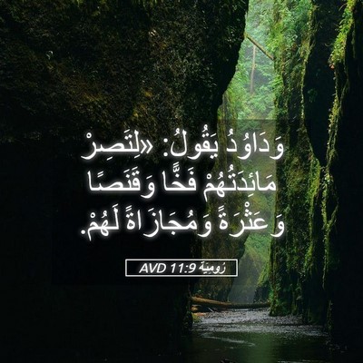 Picture 05 - رُومِيَةَ 11:9 AVD - وَدَاوُدُ يَقُولُ: - Bible Verse Picture